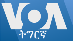 ፈነወ ትግርኛ ቀዳም