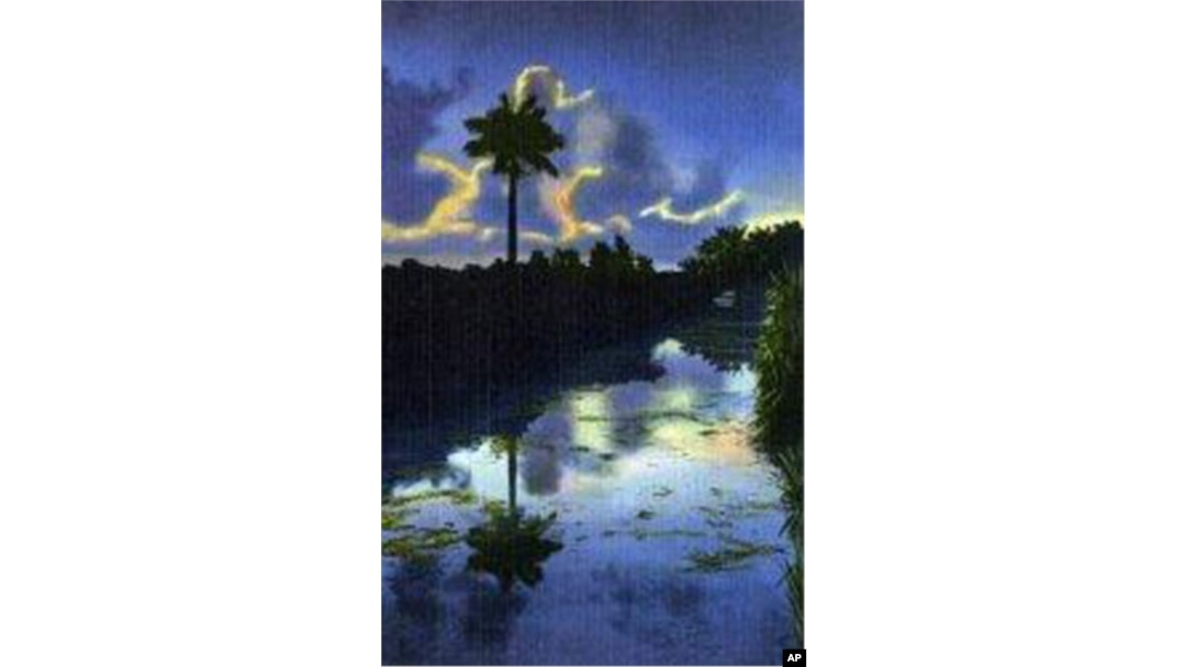 This lovely photo of the Everglades at dusk was made into a postcard in the early 1900s.