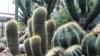 16x9 Image