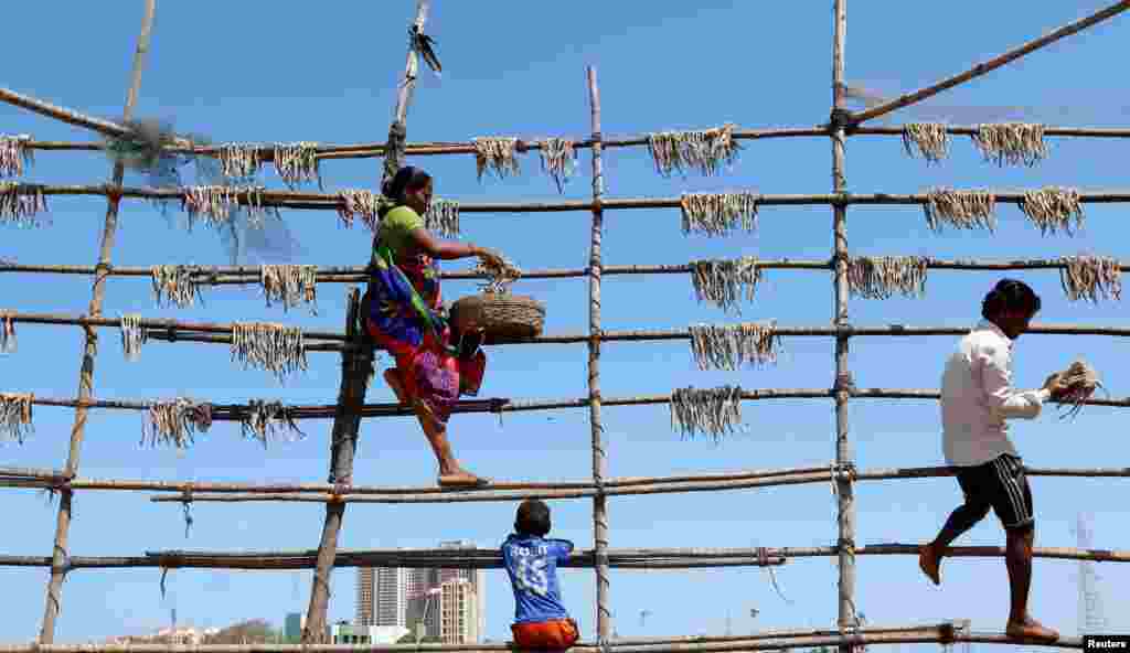 People dry fish on bamboo poles in Mumbai, India.