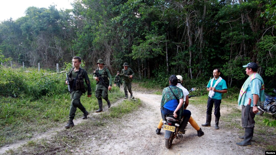 Tropas colombianas realizan ejercicios de entrenamiento para proteger a los equipos de militares y civiles que realizarán la erradicación manual de las plantas.