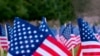 American flag, cemetery