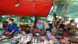 Toneladas de peixe estragadas devido a corte de energia - 2:38