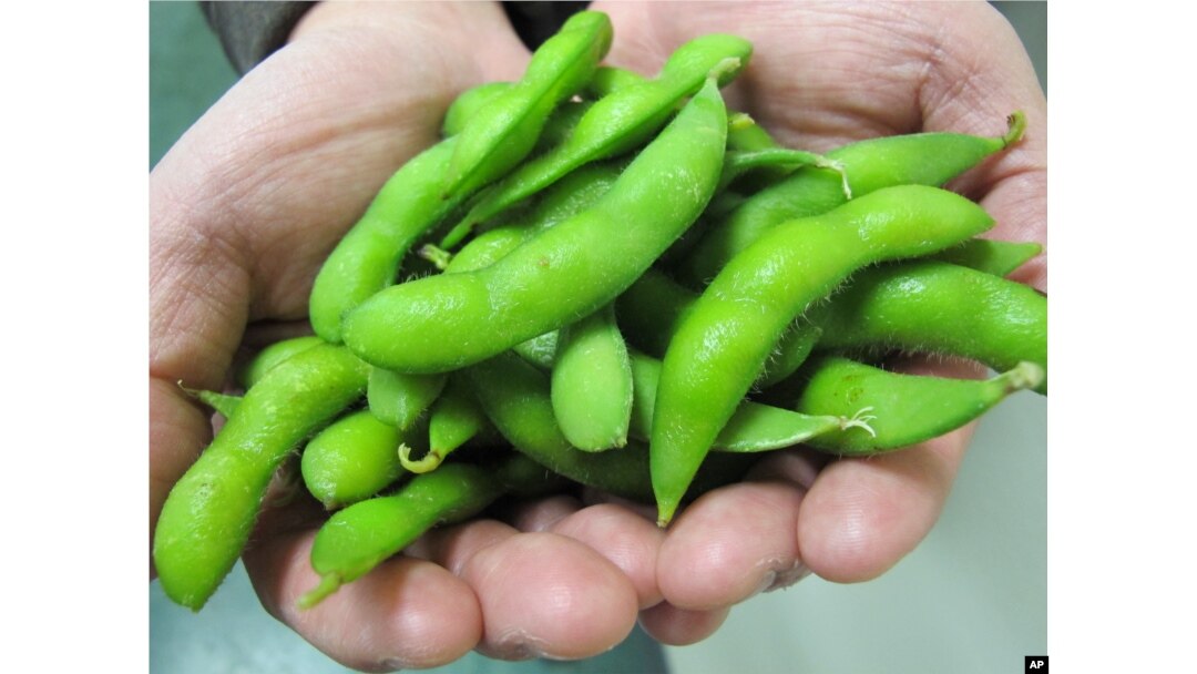 FILE - Man holds edamame.