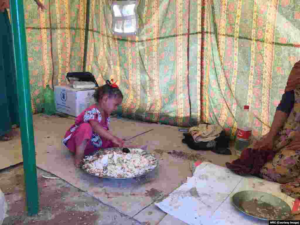 Seorang anak pengungsi bernama Yasmin sedang makan makanan yang dimasakkan tetangganya. Bersama orangtua dan saudara-saudaranya, Yasmin sampai di kamp al-Fallujah dini hari. "Ia sangat lelah sampai hanya bisa menangis," ujar ibunya.