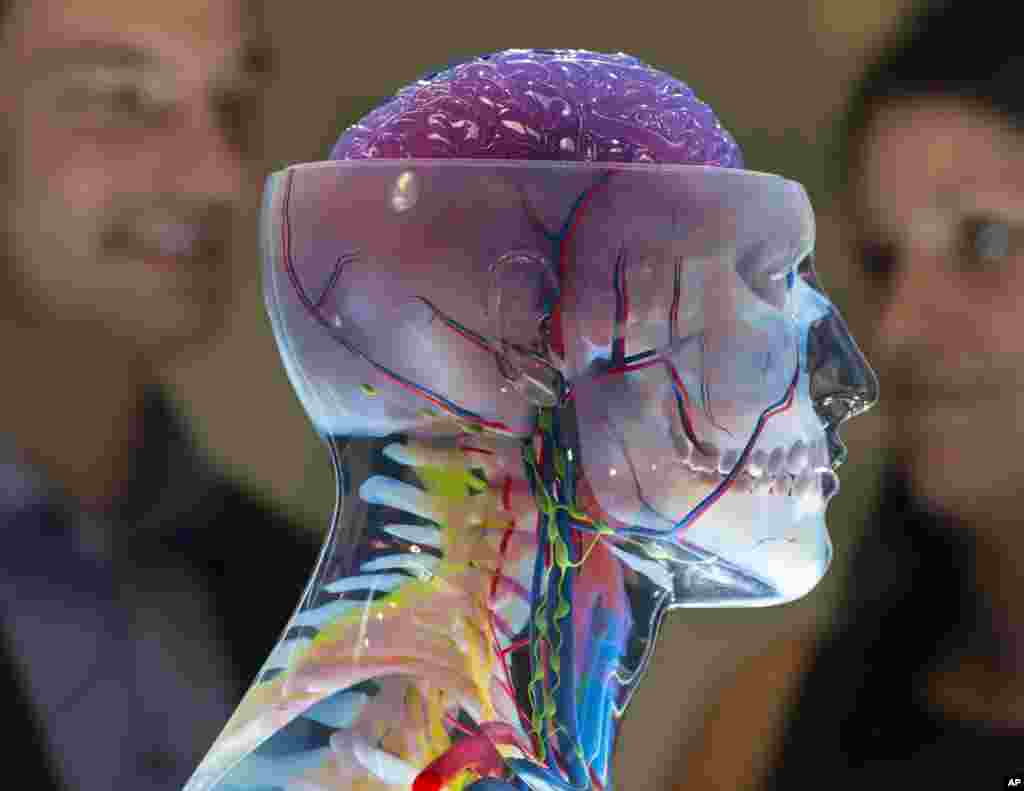 People stand behind a 3D printed model for medical purposes at the stand of the US company Stratasys during the international fairs FabCon 3.D and Rapid.Tech at Messe Erfurt in Erfurt, Germany on June 14, 2016. Exhibitors from all over the world present the latest products and applications in the fields of additive manufacturing and 3D printing until June 16, 2016.
