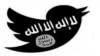Social Media Support for IS Stronger in Europe, US than Iraq, Syria