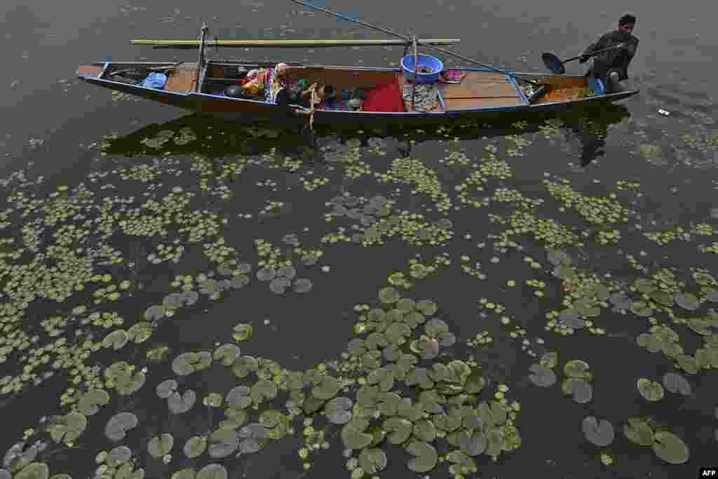 A fisherman rows a boat at Dal lake, on the outskirts of Srinagar, India.