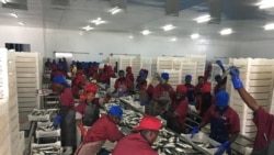Trabalhadores de companhias chinesas de pescas em greve – 3:01