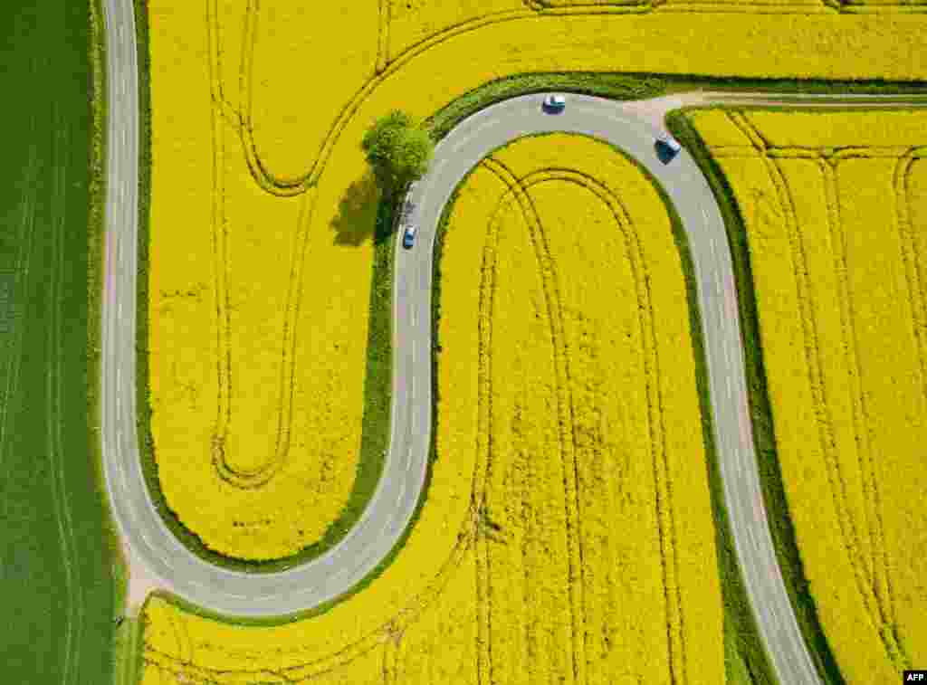 Foto udara jalan desa L401 yang berkelok-kelok melalui ladang bunga kubis-kubisan (rapeseed) di sekitar Nienstedt dekat Bad Muender am Deister, Jerman bagian tengah.