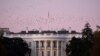 Una bandada de pájaros sobrevuela la Casa Blanca el pasado sábado, al atardecer, después de que se conociera que los escrutinios proyectan que Joe Biden será el presidente electo de Estados Unidos.