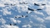 지난 2017년 9월 북한의 화성-12 탄도미사일 발사에 대응해 출격한 미군 B-1B 전략폭격기와 F-35B 스텔스 전투기가 한국 공군 F-15K 전투기와 한반도 상공을 비행하고 있다.