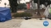 Tiny Homes Provide Stopgap Solution for Homeless 