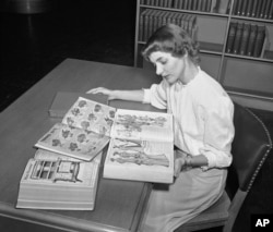 FILE - In an undated file photo, a librarian at the Chicago Public Library studies early Sears Roebuck catalogs in the library's collection in Chicago.
