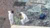 Boston Marathon ExplosionsTwo men in hazardous materials suits put numbers on the shattered glass and debris as they investigate the scene at the first bombing on Boylston Street near the finish line of the 2013 Boston Marathon, a day after two blasts kil
