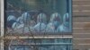 Pandemic Mystery: Scientists Focus on COVID-19's Animal Origins