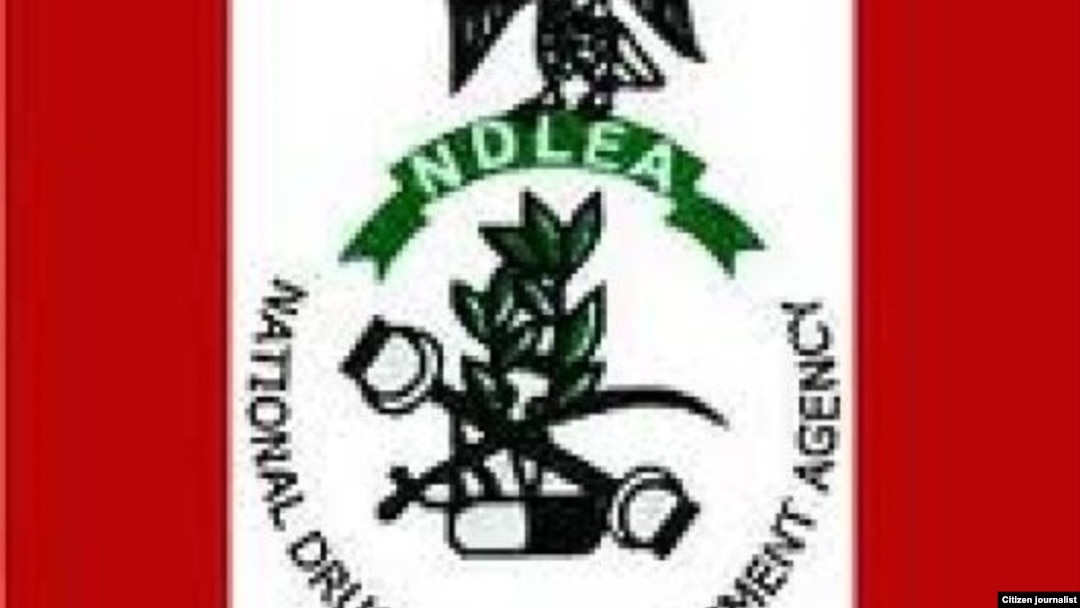 NDLEA LOGO