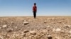 Radical Action Needed to Prevent Irreversible Climate Change, Scientists Say 
