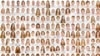 The 500 gingers photographed by Pokroy on a panel that’s part of the "I collect gingers" exhibition (A. Pokroy) 