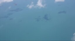 Search for Plane Expanding