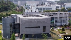 中國科學院武漢病毒所。
