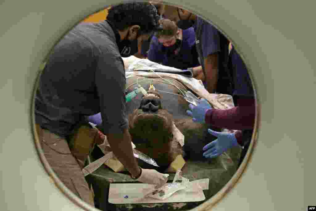Specialists from the Johannesburg Zoo and University of Pretoria's Onderstepoort Veterinary Academy monitor Makokou, a 35 year-old male Western Lowland Gorilla, after conducting a CT scan at the Veterinary Academy Hospital in Pretoria, June 6, 2020.
