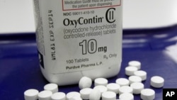 FILE - OxyContin pills, an opioid drug, are arranged for a photo at a pharmacy in Montpelier, Vermont, Feb. 19, 2013.