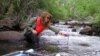 Lost Biodiversity Could Harm Humans