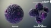 Growing Mini Organs May Save Lives