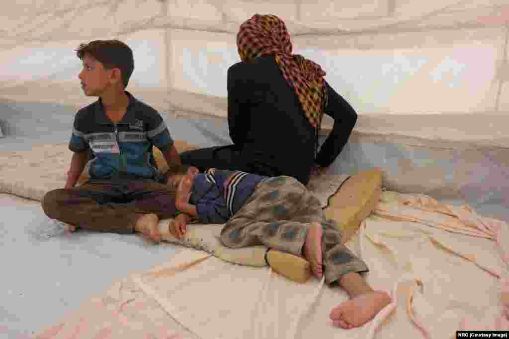 Mohammed (9 tahun, duduk) mengatakan, "Kaki saya sangat sakit dan capek karena harus lari sepanjang malam." Ishwaq, suaminya dan ketiga anak mereka, semua di bawah usia 12 tahun, berhasil melarikan diri dari Fallujah pada 23 Mei 2016. Mereka lari selama tiga jam pada malam hari sebelum tiba di pos pemeriksaan dan mengibarkan bendera putih agar tidak ditembak.