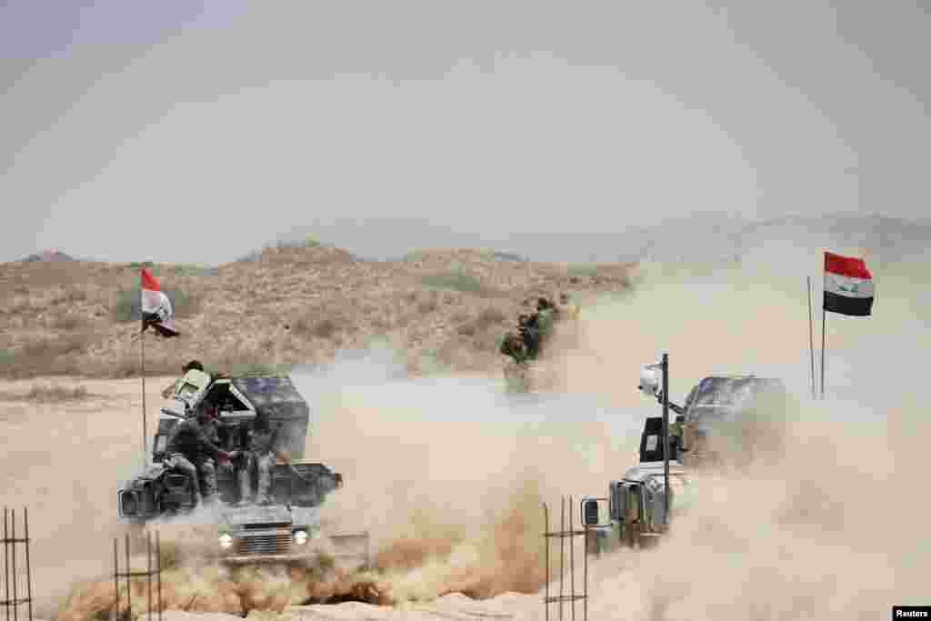 Iraqi federal police advance with Shi'ite fighters toward Falluja.