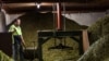 SABMiller Plc, Fosters Group and CUB Australia 2012 .Ellerslie Hop Farm.Credit: Tom Parker/OneRedEye