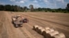 Desinformaciones sobre la industria agrícola ucraniana que han circulado desde el inicio de la invasión rusa