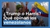 Donald Trump o Kamala Harris: ¿Qué opinan los venezolanos sobre las elecciones en EEUU?