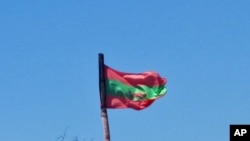 Bandeira da UNITA