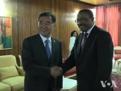 AU Leaders Discuss Mali, Chinese Investment