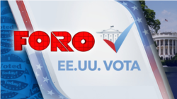 Desafío democrático de elecciones 2020