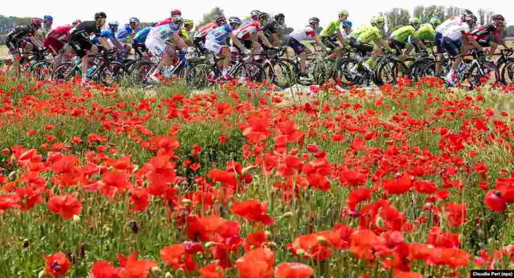 Para pebalap sepeda berlomba pada Giro d'Italia etape ke-11 sepanjang 227km dari Modena ke Asolo di Italia.