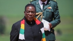 Ingxoxo Esiyenze loMalaki Nkomo