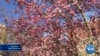16x9 Image