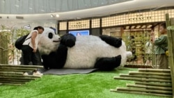 時事經緯