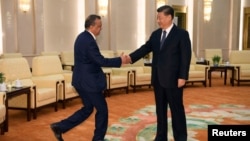資料照：中國國家主席習近平在北京人大會堂會晤到訪的世界衛生組織總幹事譚德塞。 （2020年1月28日）