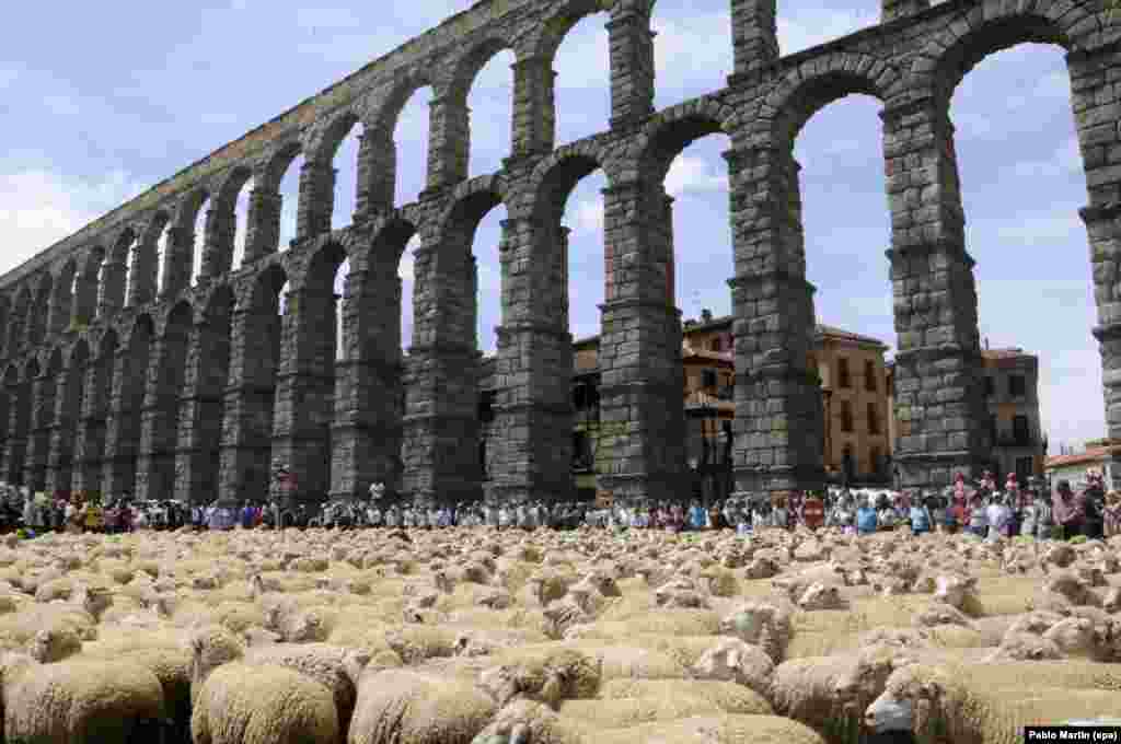 Biri-biri tiba di dekat aqueduct di kota Segovia, Spanyol.