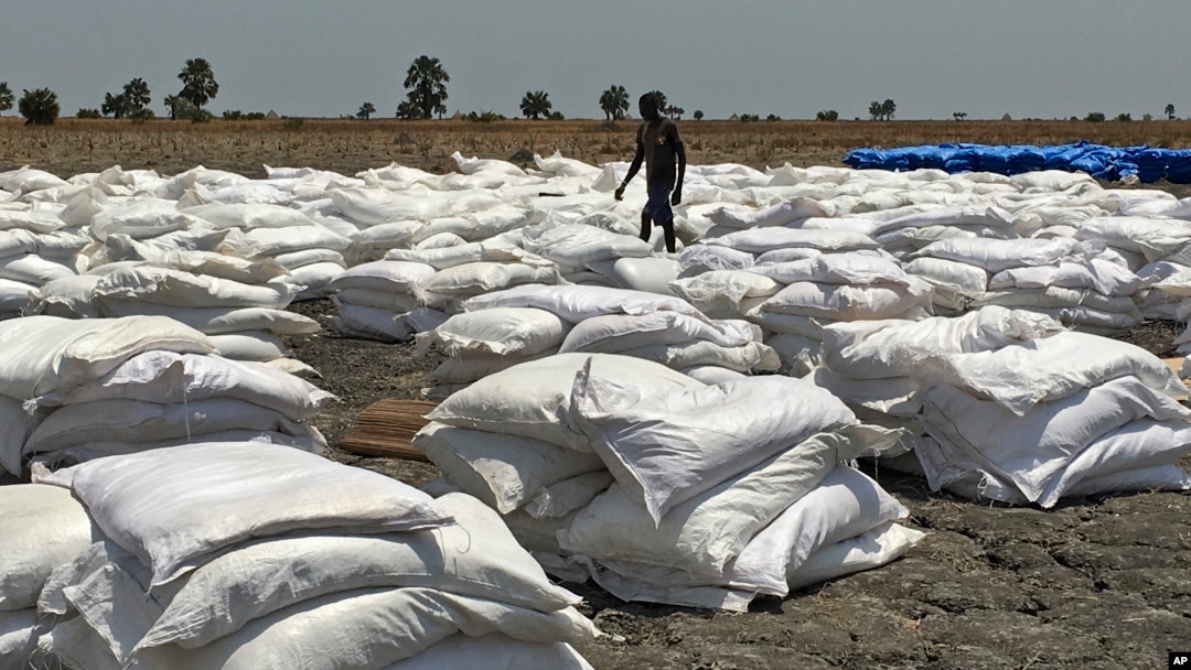 Bags of food dropped by air from a World Food Program plane are sorted in Padeah, South Sudan. South Sudanese who fled famine and fighting in Leer county emerged from South Sudan's swamps after months in hiding to receive food aid.