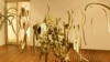 Bronwyn Lace’s suspended horse skeleton in a gallery in Johannesburg (Photo: B. Lace)
